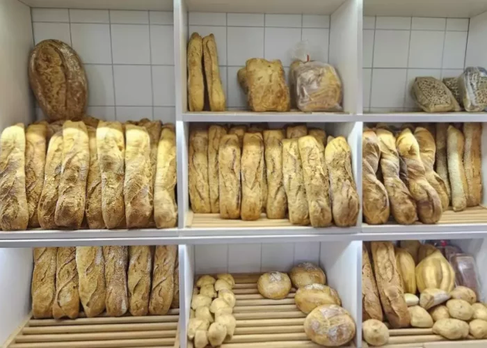 20241213-10052011_8b86_xl